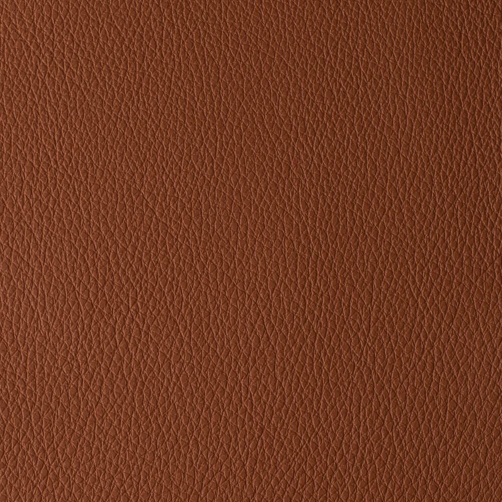 Saddlebrown