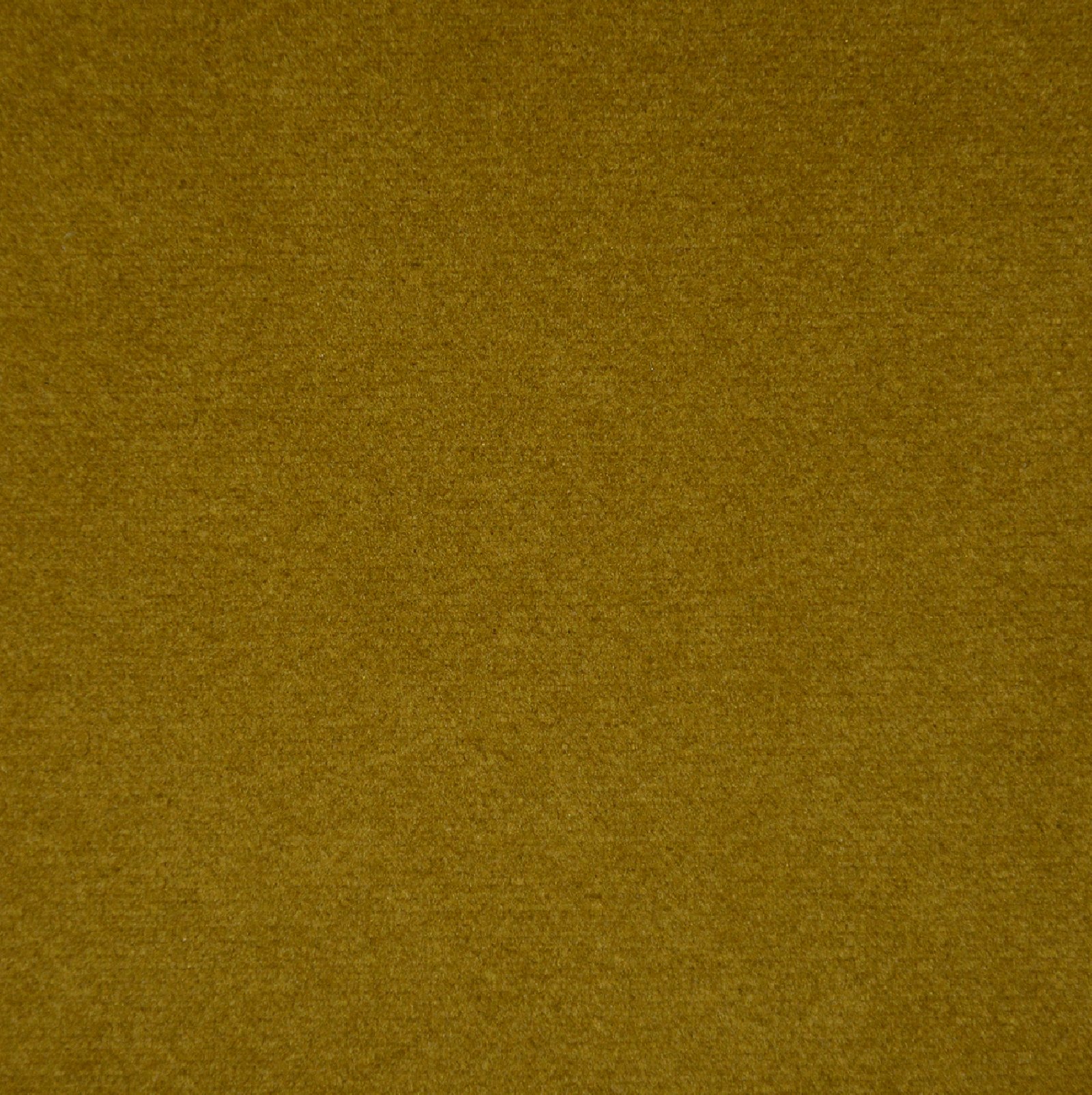 Olive Yellow