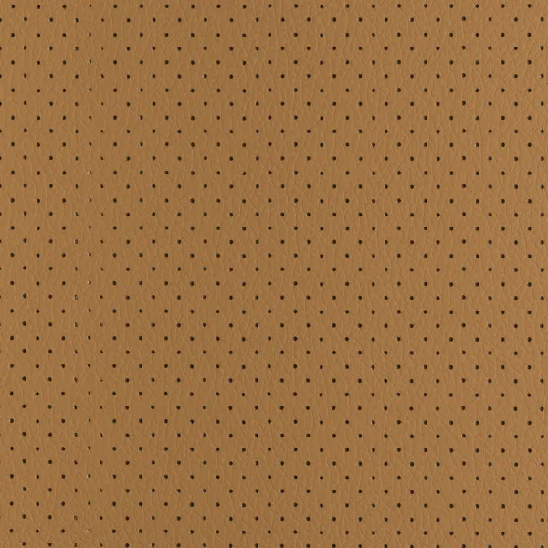 Coleção CHRONUS PERFORATED
