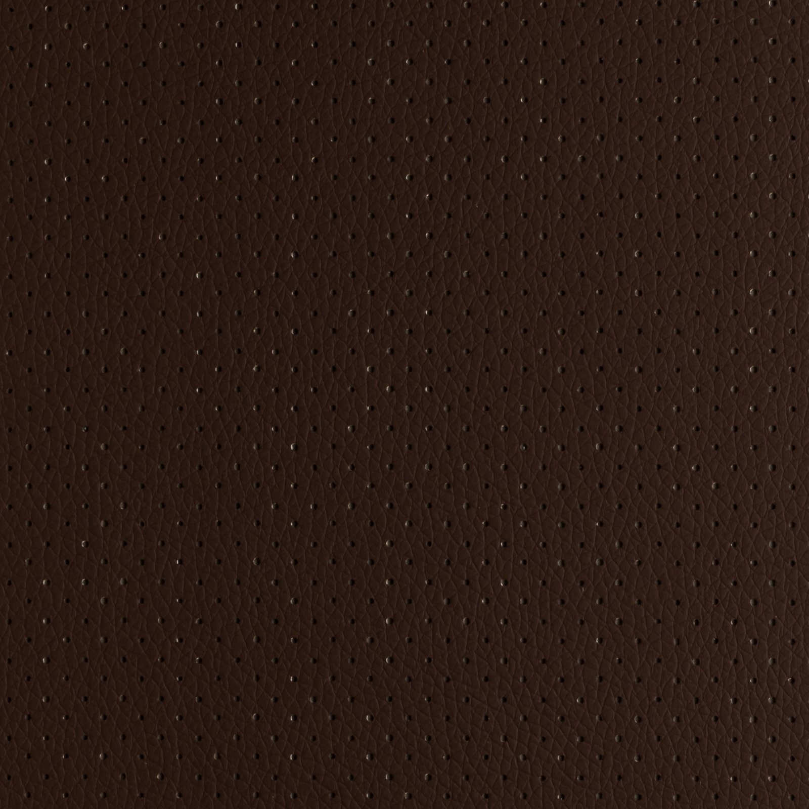 Chocolate Perforated