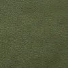 Moss