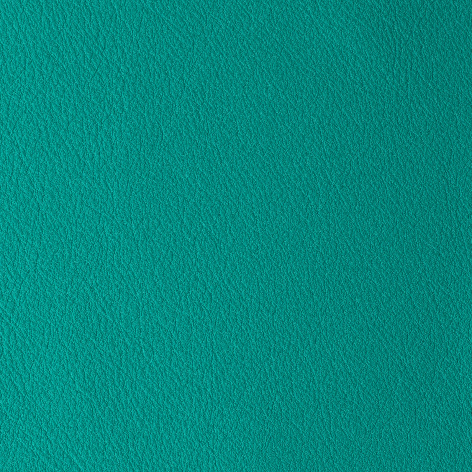 Aquatic