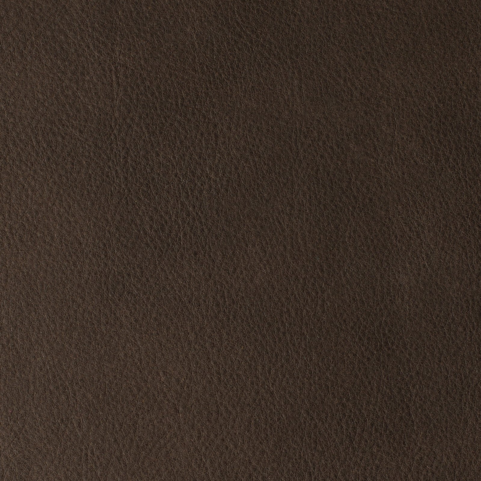 Chestnut