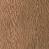 Dark Camel