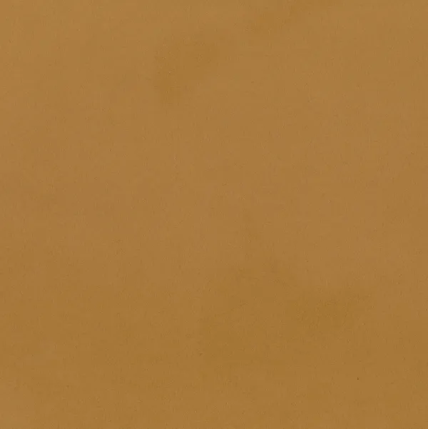Coleção NEOSUEDE