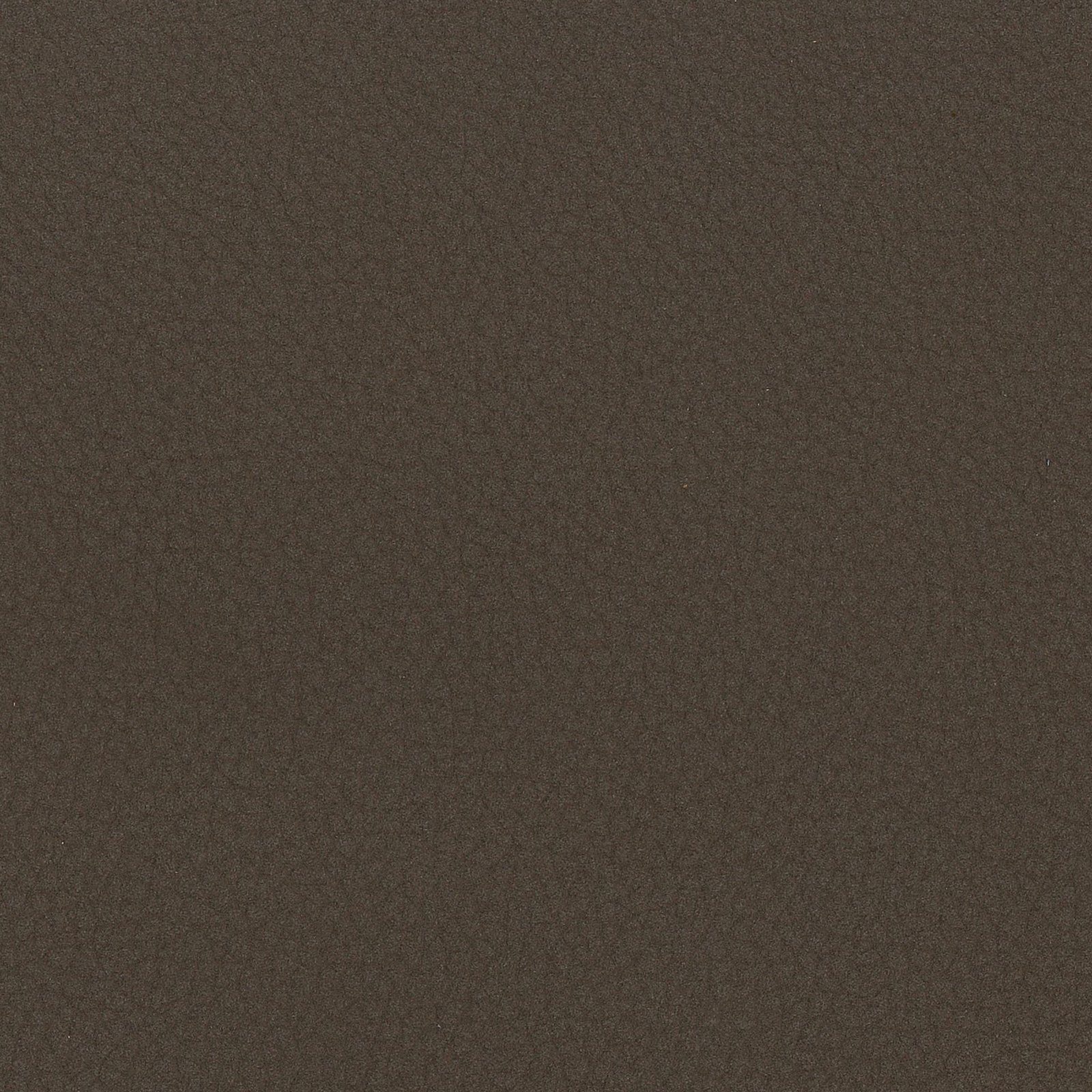 Truffle