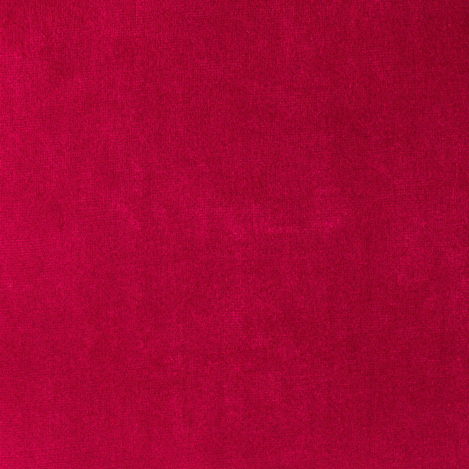 Red Rose
