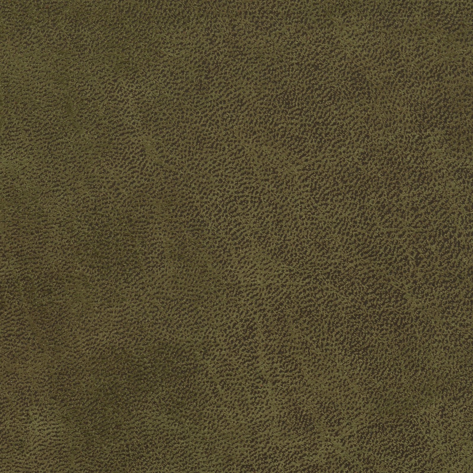 Moss
