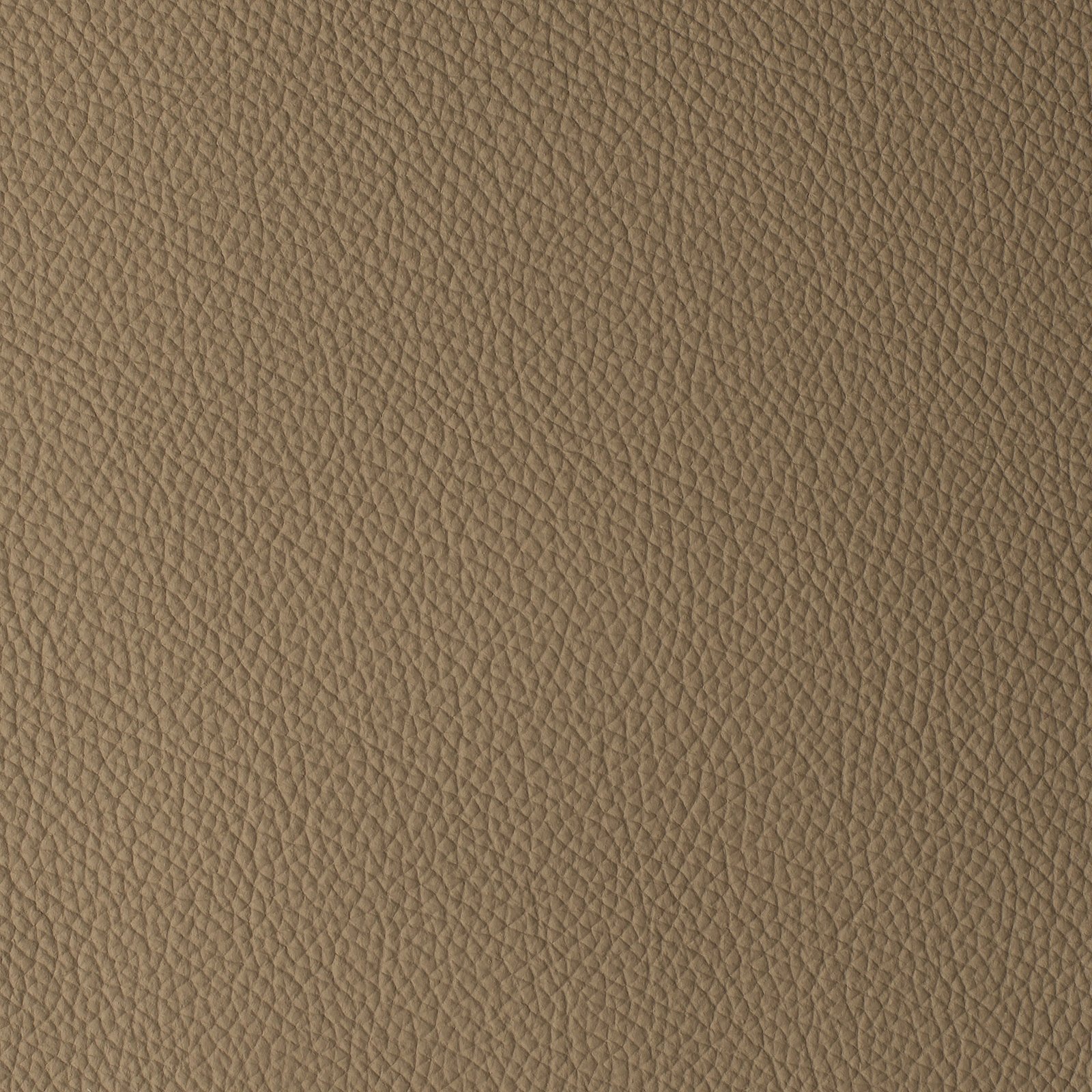 Saddlebrown