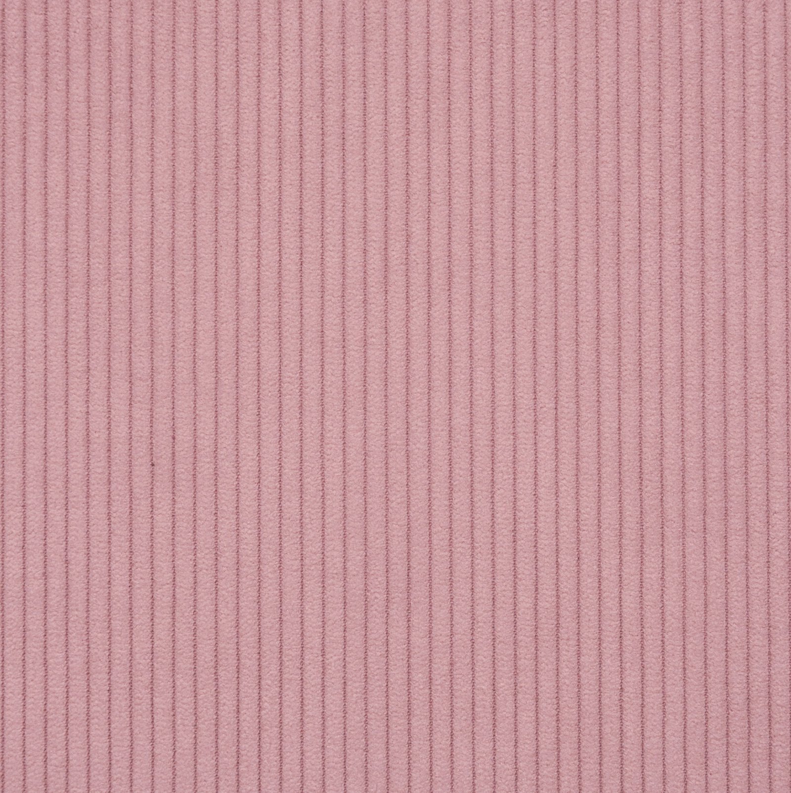 Scala Rose