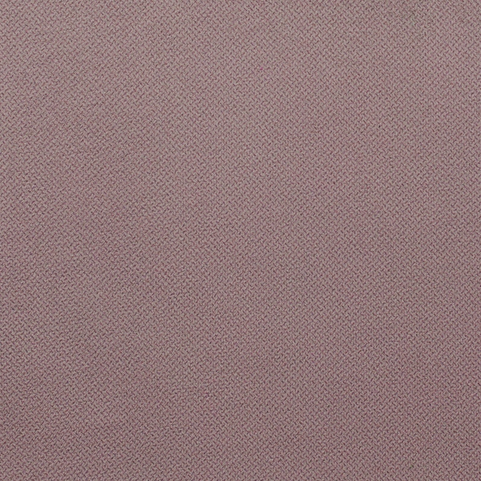 Fox Lilac