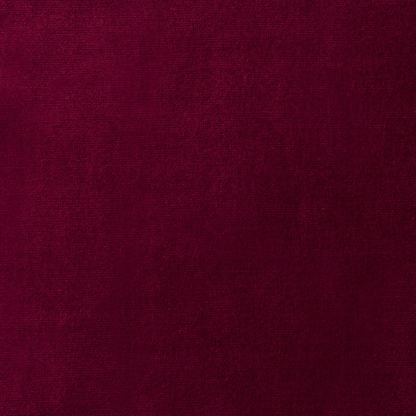 Paris Wine