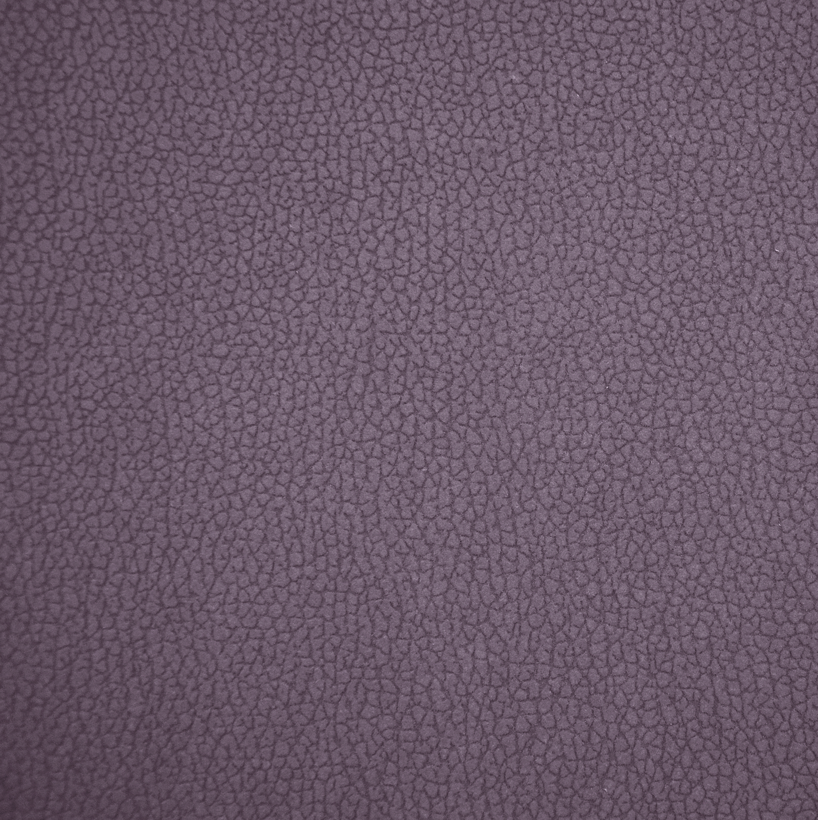 Lavanda