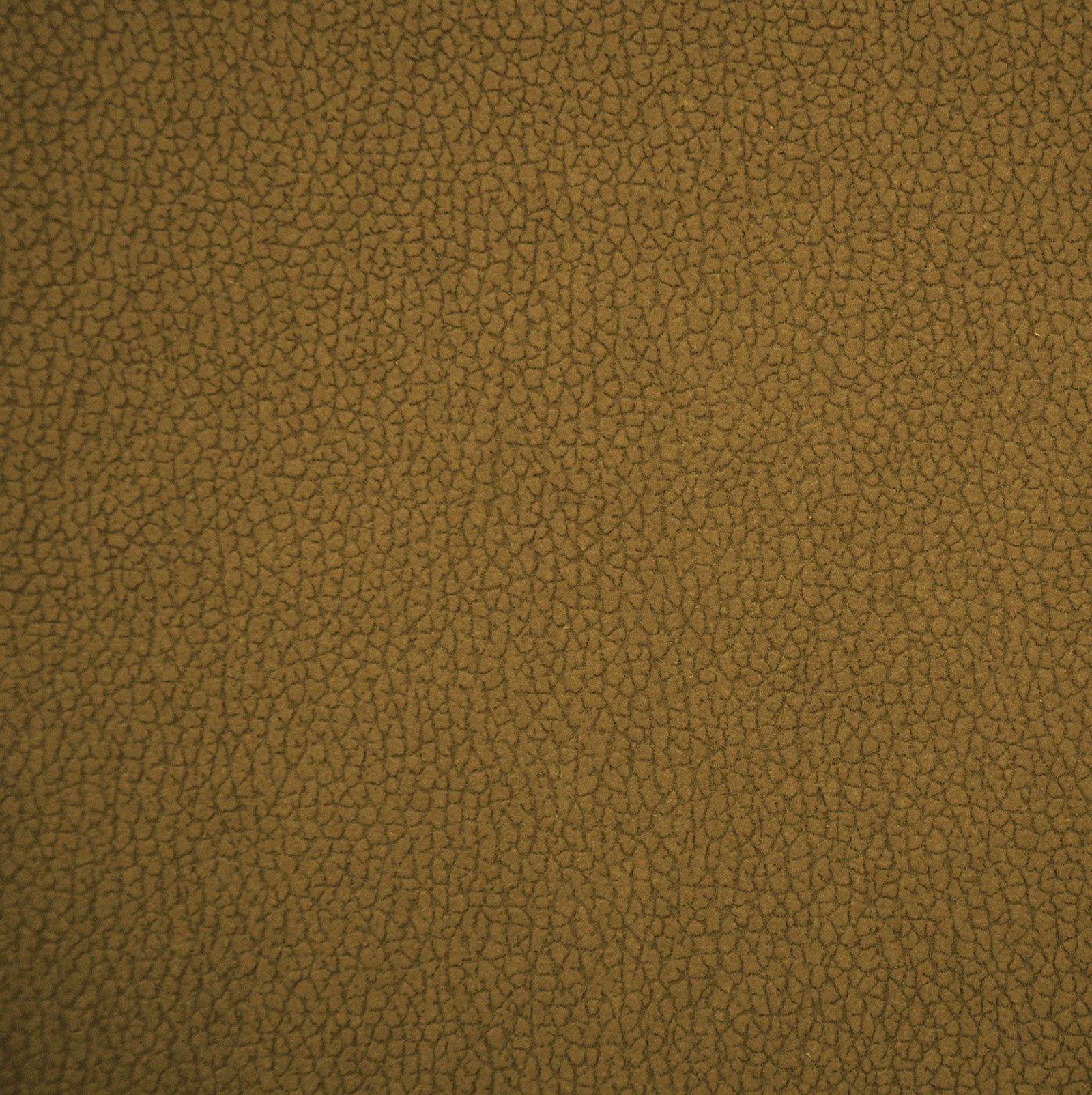 Olive Yellow